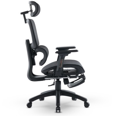Fotel Ergonomiczny Biurowy DELAGEAR M Pro 750 Czarny - PRAWY BOK