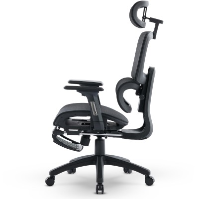 Fotel Ergonomiczny Biurowy DELAGEAR M Pro 750 Czarny - LEWY BOK