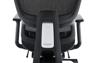 Fotel Ergonomiczny Biurowy DELAGEAR M Pro 750 Czarny - PODPARCIE LĘDŹWI TYŁ