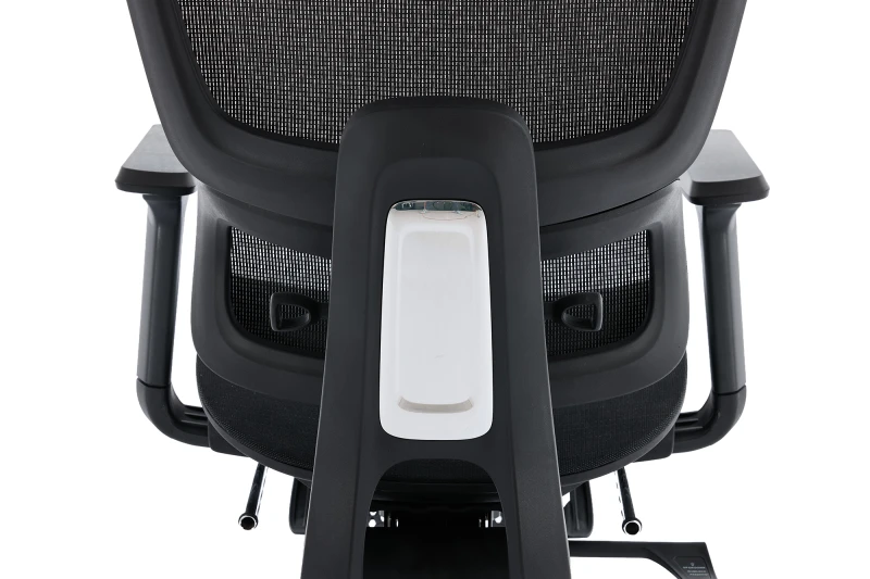 Fotel Ergonomiczny Biurowy DELAGEAR M Pro 750 Czarny - PODPARCIE LĘDŹWI TYŁ