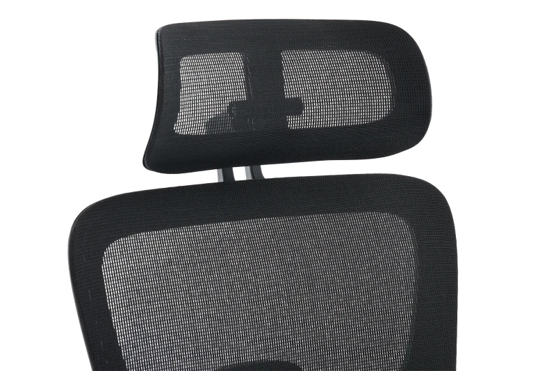 Fotel Ergonomiczny Biurowy DELAGEAR M Pro 750 Czarny - ZAGŁÓWEK
