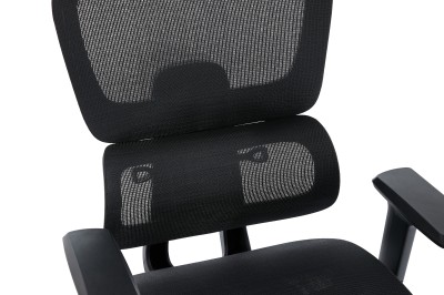 Fotel Ergonomiczny Biurowy DELAGEAR M Pro 750 Czarny -  PODPARCIE LĘDŹWI TYŁ PRZÓD