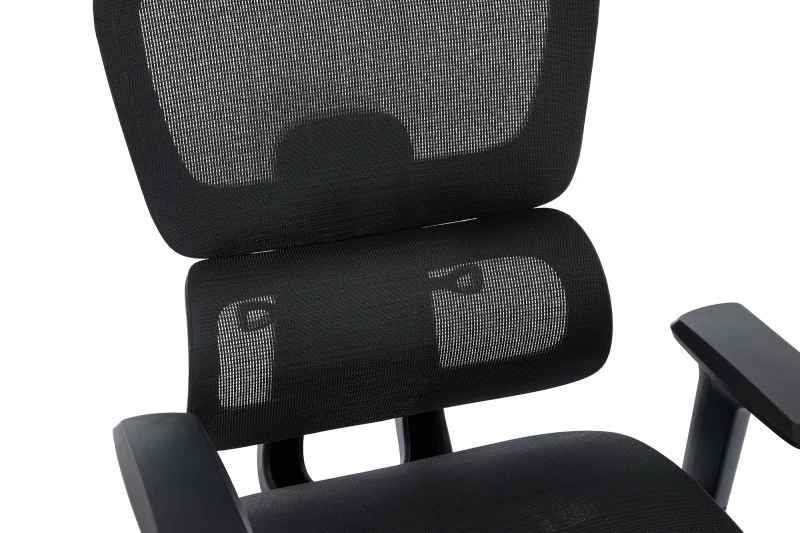 Fotel Ergonomiczny Biurowy DELAGEAR M Pro 750 Czarny -  PODPARCIE LĘDŹWI TYŁ PRZÓD
