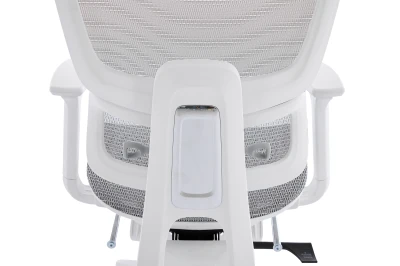 Regulacja lędźwiowa w fotelu ergonomicznym DELAGEAR M Pro 750 - widok z tyłu