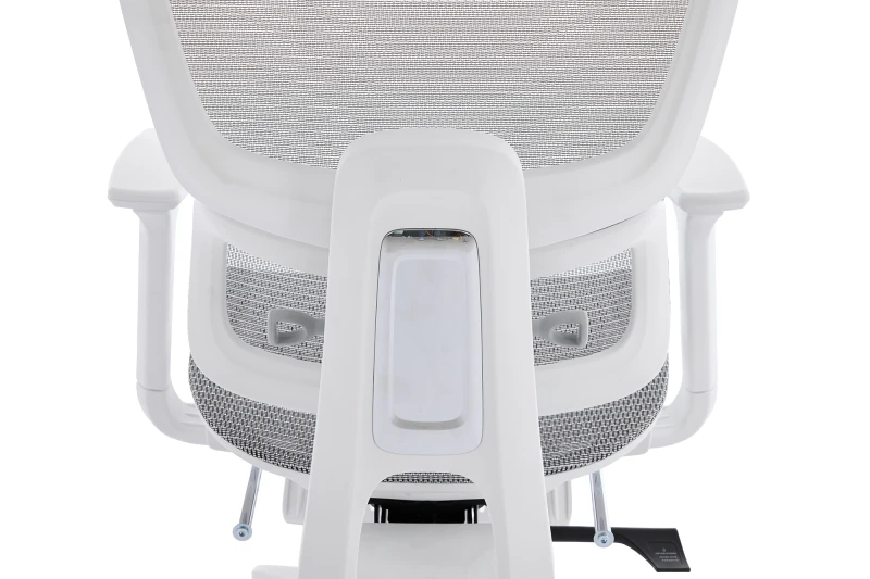 Regulacja lędźwiowa w fotelu ergonomicznym DELAGEAR M Pro 750 - widok z tyłu