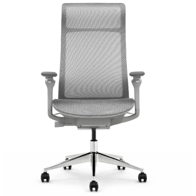 Fotel ergonomiczny biurowy ERGONAUT AERO szary przód