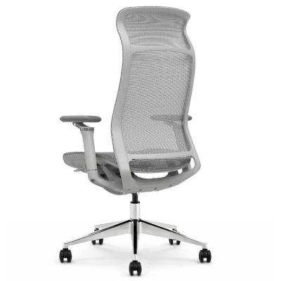 Fotel ergonomiczny biurowy ERGONAUT AERO szary tył pod kątem z prawej