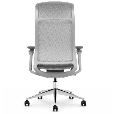 Fotel ergonomiczny biurowy ERGONAUT AERO szary tył