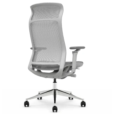 Fotel ergonomiczny biurowy ERGONAUT AERO szary tył pod kątem z lewej