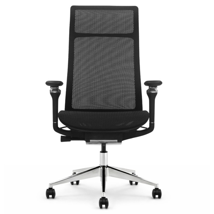 Fotel ergonomiczny biurowy ERGONAUT AERO czarny przód
