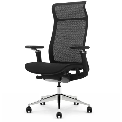 Fotel ergonomiczny biurowy ERGONAUT AERO czarny prawy półprofil