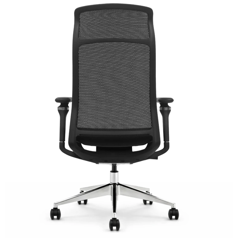 Fotel ergonomiczny biurowy ERGONAUT AERO czarny tył
