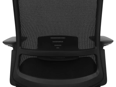 Fotel Ergonomiczny Biurowy ERGONAUT AERO Czarny - zbliżenie z tyłu na mechanizm podparcia lędźwiowego.