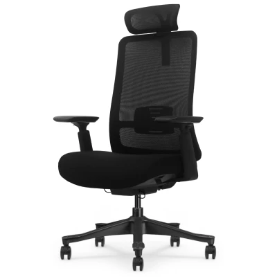 Fotel Ergonomiczny Biurowy ERGONAUT AERO Czarny - widok w półprofilu z prawej strony