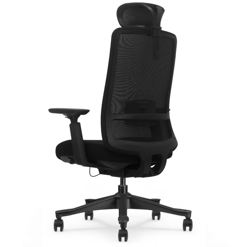 Fotel Ergonomiczny Biurowy ERGONAUT AERO Czarny - widok z tyłu pod kątem z lewej strony, widoczna rama i siatka.