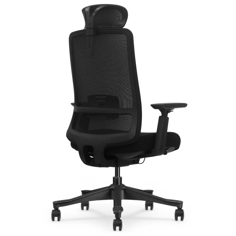 Fotel Ergonomiczny Biurowy ERGONAUT AERO Czarny - widok z tyłu w prawym półprofilu na ramę oparcia i podstawę.