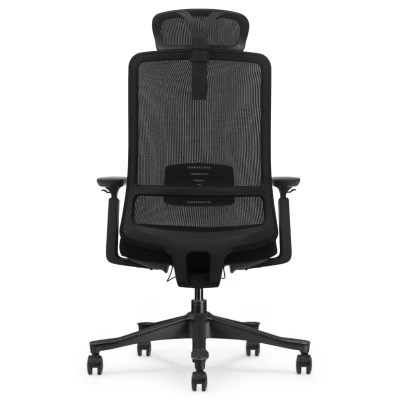 Fotel Ergonomiczny Biurowy ERGONAUT AERO Czarny - centralny widok z tyłu na konstrukcję oparcia i zagłówek.