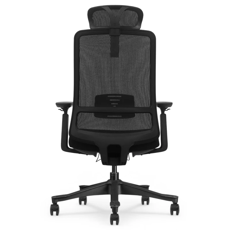 Fotel Ergonomiczny Biurowy ERGONAUT AERO Czarny - centralny widok z tyłu na konstrukcję oparcia i zagłówek.