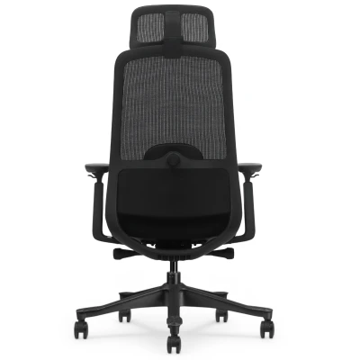 Fotel Ergonomiczny Biurowy ERGONAUT NIMBUS Czarny - widok z tyłu na stelaż i wspornik lędźwiowy.