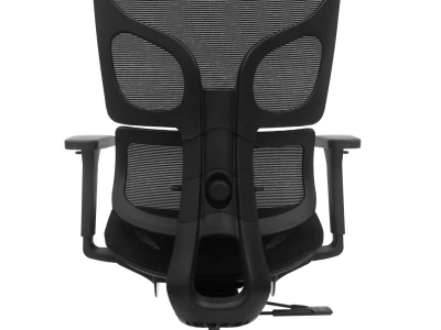 Fotel Ergonomiczny Biurowy ERGONAUT BIONIC AIR Czarny - zbliżenie na tył oparcia i mechanizm wsparcia lędźwiowego.