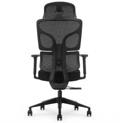 Fotel Ergonomiczny Biurowy ERGONAUT BIONIC Czarny - centralny widok z tyłu na stelaż wspierający plecy.