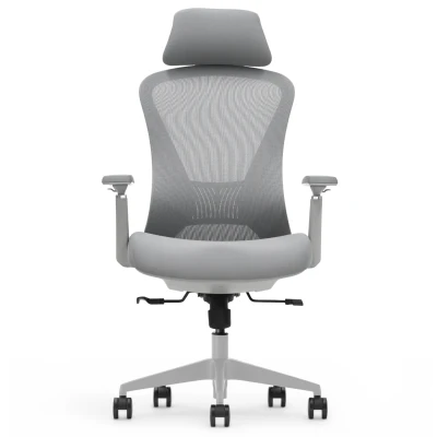 Fotel Ergonomiczny Biurowy ERGONAUT VOYAGER Szary - centralny widok z przodu na całą sylwetkę.