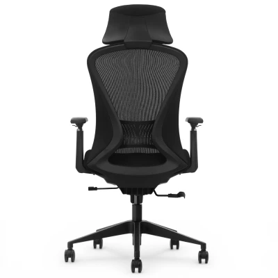 Fotel Ergonomiczny Biurowy ERGONAUT VOYAGER Czarny - centralny widok z tyłu na ramę oparcia.