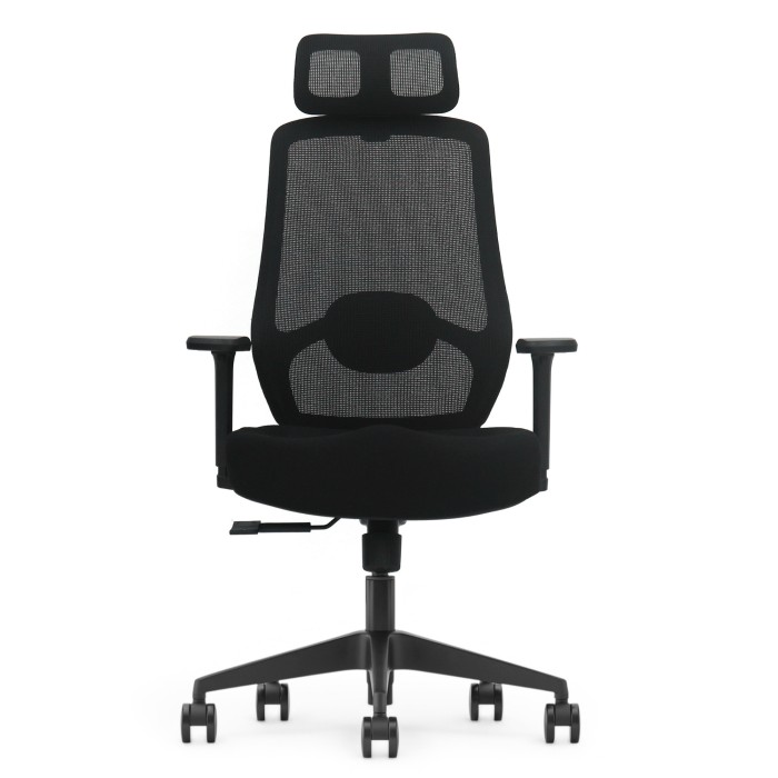 Fotel Ergonomiczny Biurowy ERGONAUT AERO Czarny - widok z przodu, centralne ujęcie na siedzisko i podłokietniki.