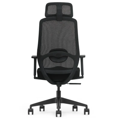 Fotel Ergonomiczny Biurowy ERGONAUT AERO Czarny - centralny widok z tyłu na konstrukcję oparcia i lędźwi.