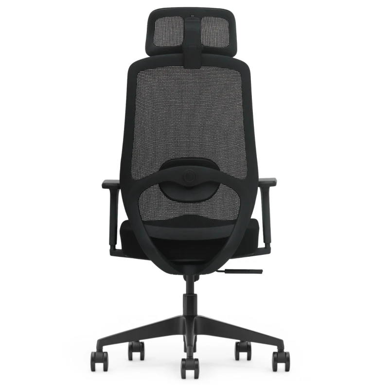 Fotel Ergonomiczny Biurowy ERGONAUT AERO Czarny - centralny widok z tyłu na konstrukcję oparcia i lędźwi.