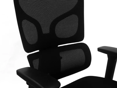 Fotel Ergonomiczny Biurowy ERGONAUT BIONIC AIR FR Czarny - zbliżenie na profilowane, siatkowe oparcie lędźwiowe.